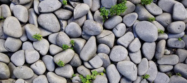 kruszarnia gruzu Poznań